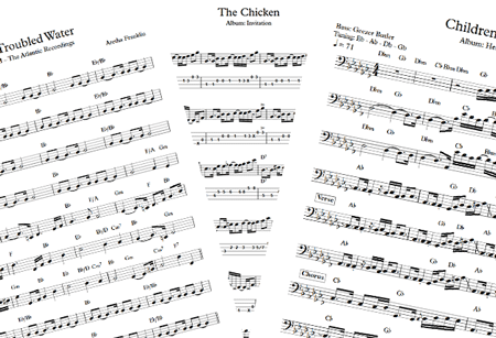 Example picture of transcriptions