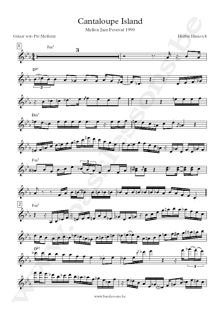 Cantaloupe Island Pat Metheny guitar solo