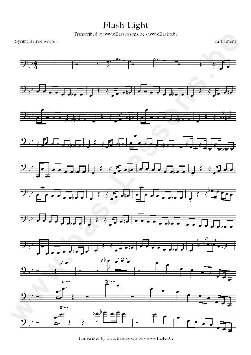 Parliament flash light transcription